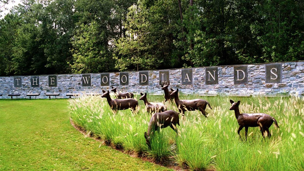 Photo of Outdoor in Alden Bridge