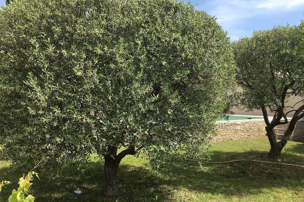 Photo of Outdoor in Lirac
