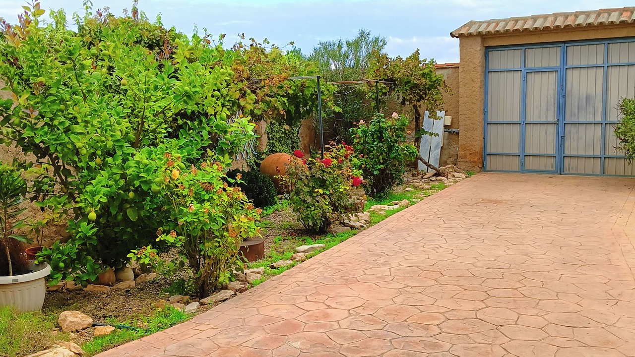 Photo of Outdoor in Pedrola