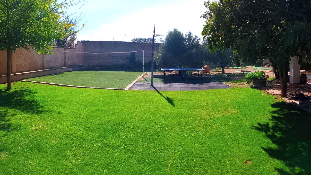 Photo of Outdoor in Pedrola