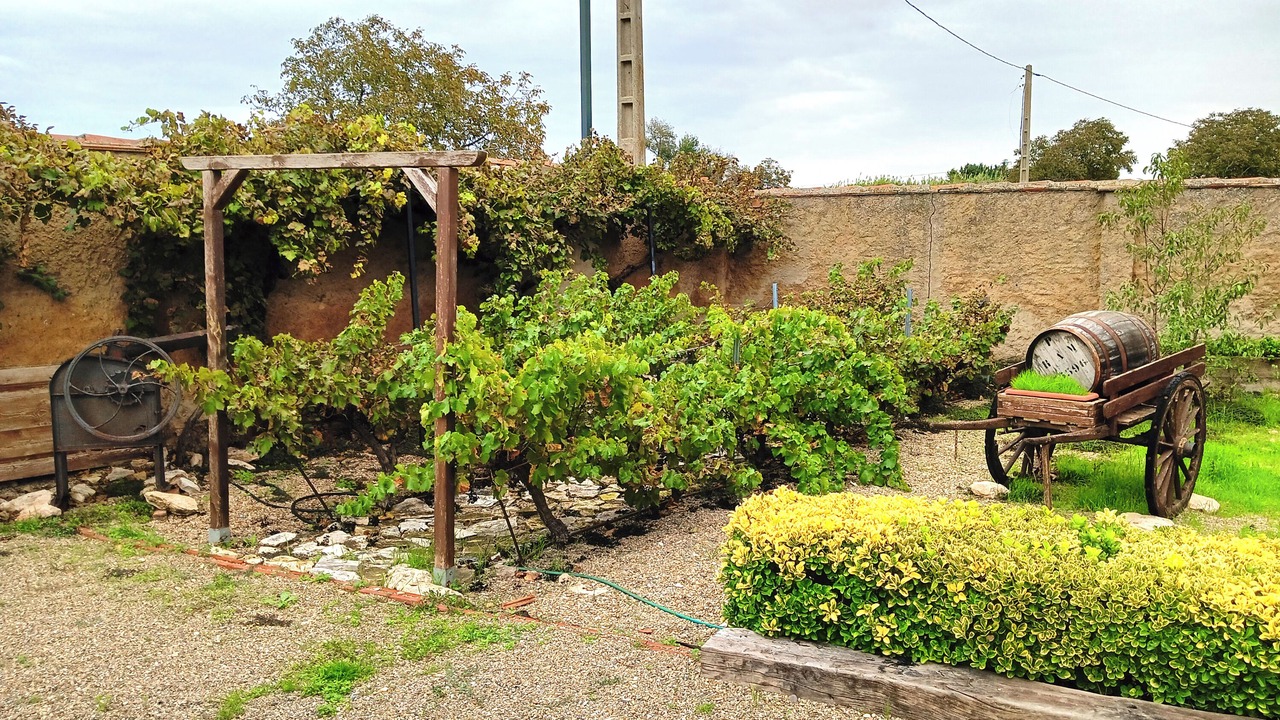 Photo of Outdoor in Pedrola