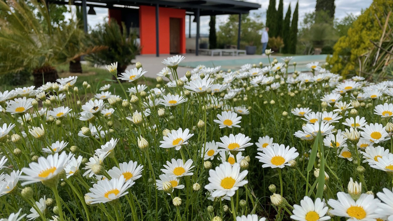 Photo of Outdoor in Mansonville