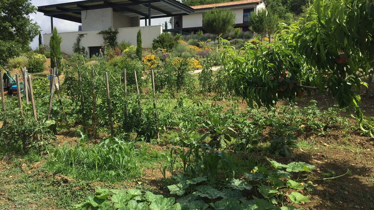 Photo of Outdoor in Mansonville