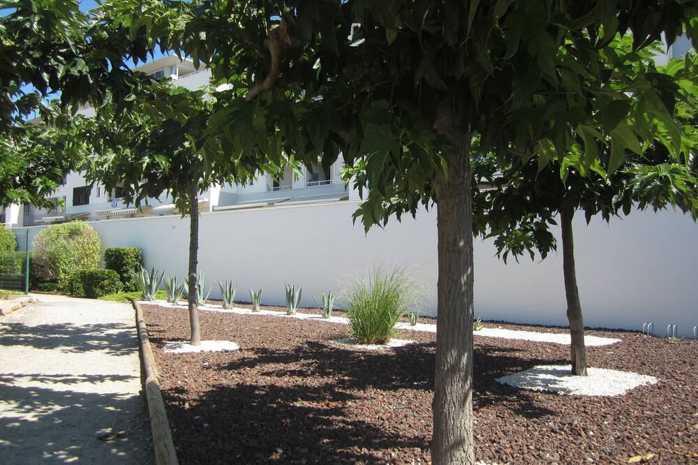 Photo of Outdoor in Cap d'Agde