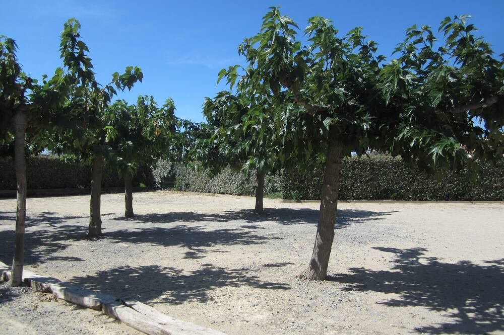 Photo of Outdoor in Cap d'Agde