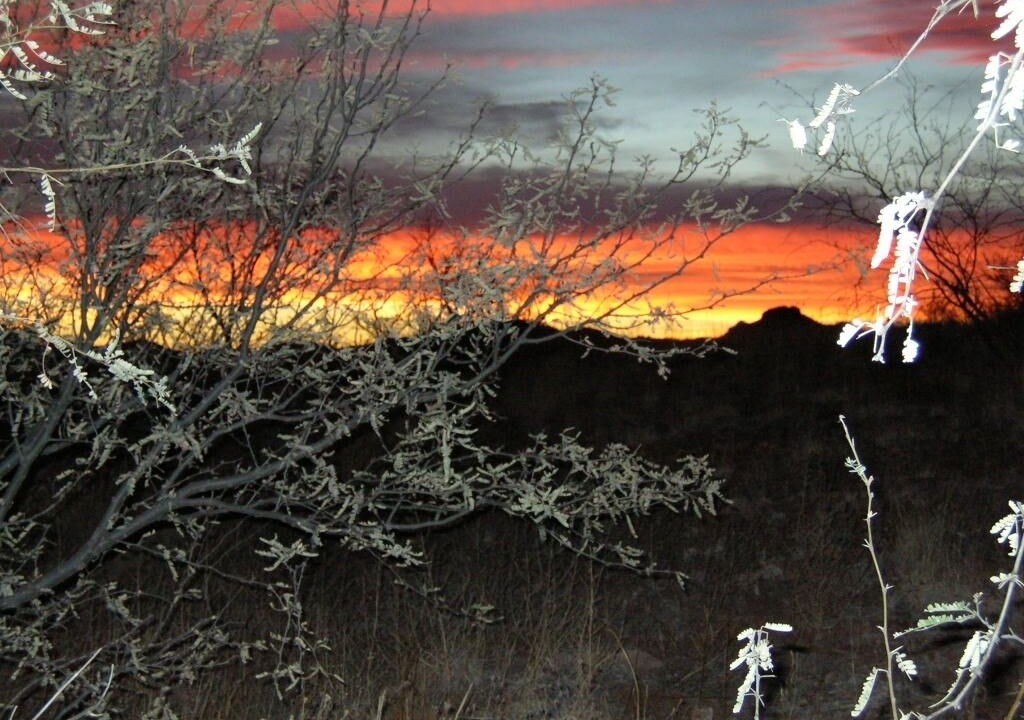 Photo of Others in Patagonia