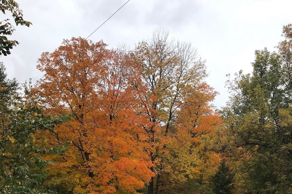 Photo of Outdoor in Montgomery Center