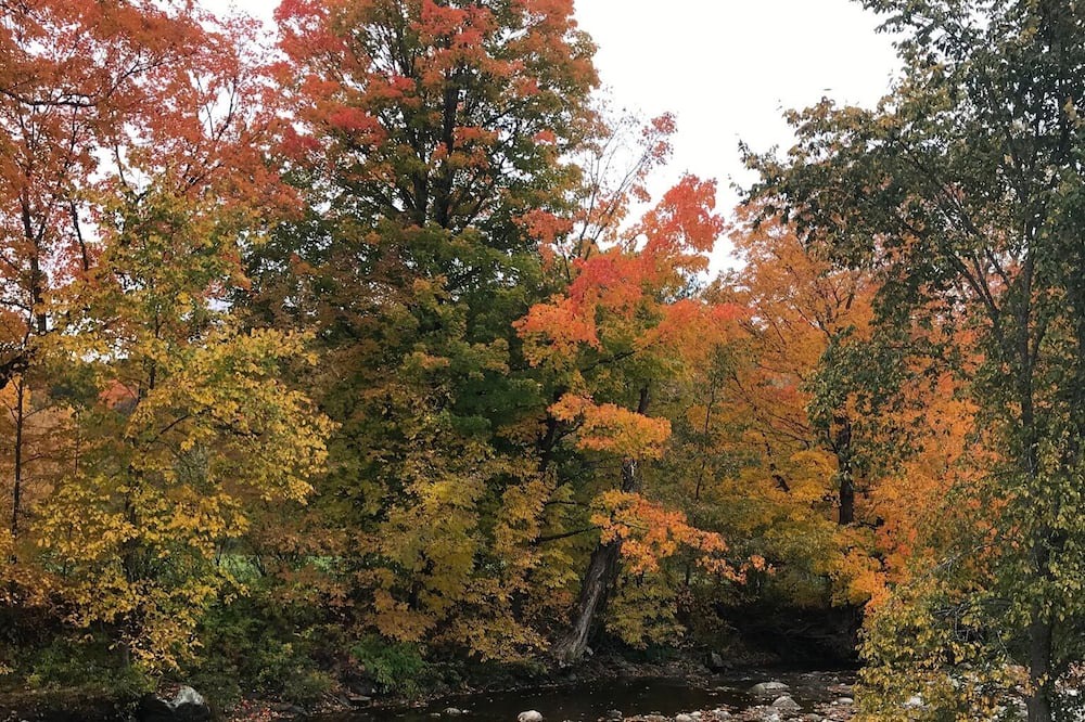 Photo of Outdoor in Montgomery Center