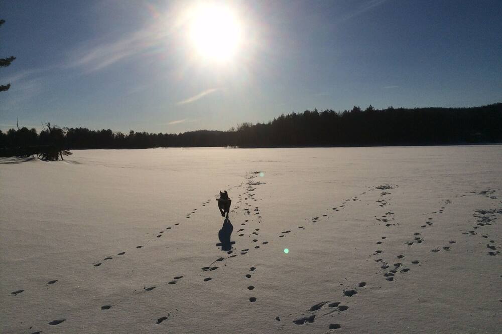 Photo of Others in Town of Webb