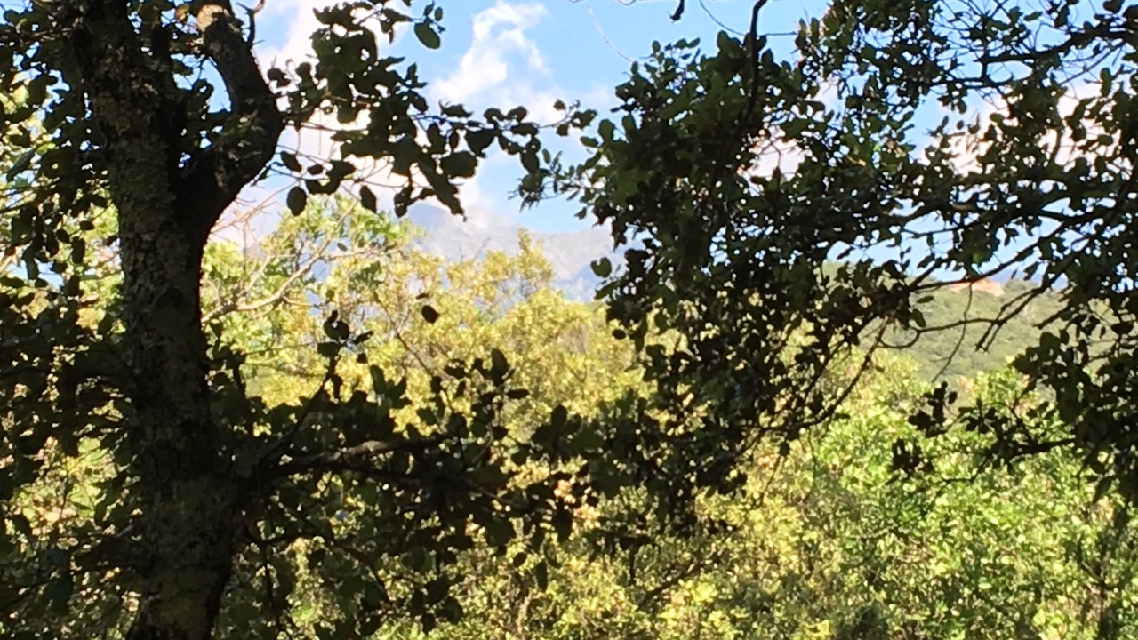 Photo of Others in Montbolo