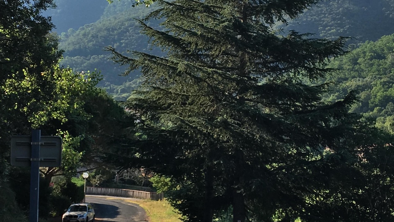 Photo of Outdoor in Montbolo