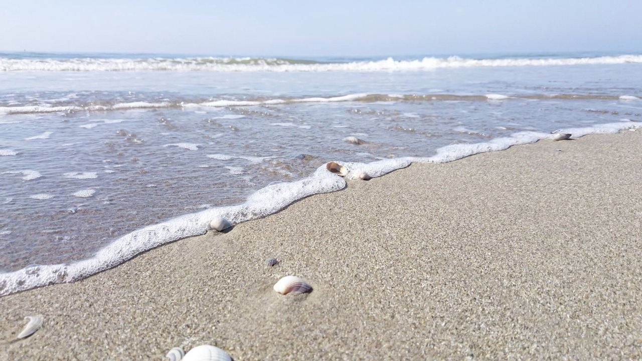 Photo of Outdoor in Berck-sur-Mer