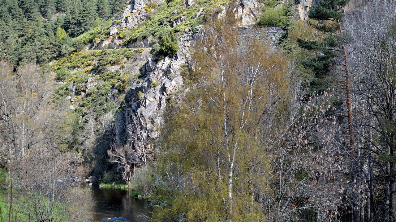Photo of Outdoor in Joannas