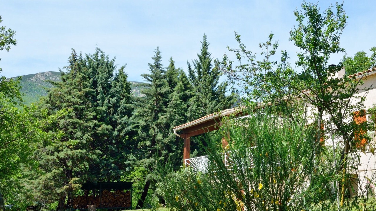 Photo of Outdoor in Joannas