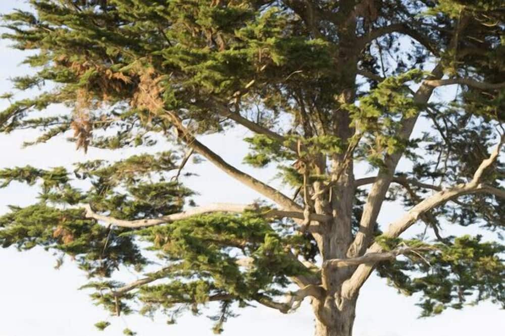 Photo of Outdoor in Bretignolles-sur-Mer