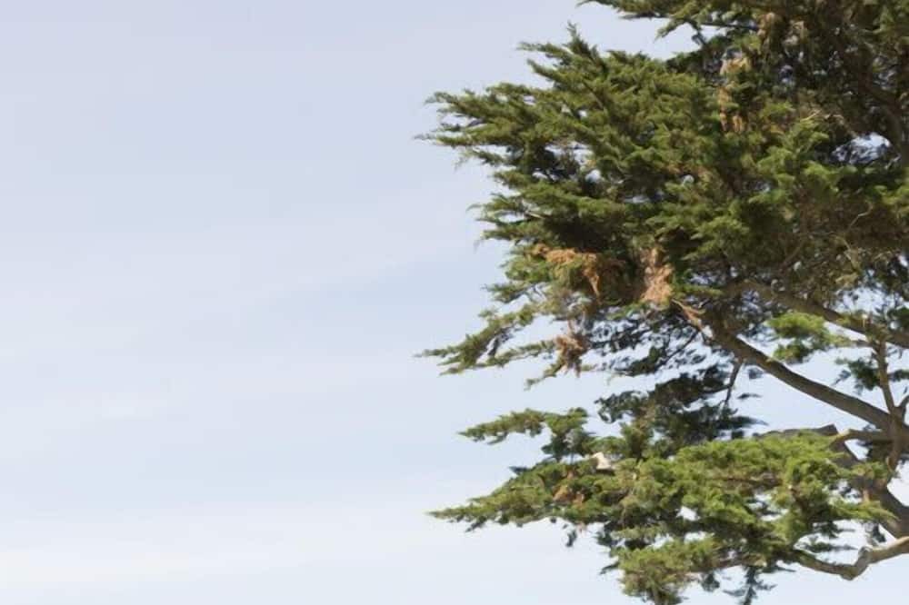 Photo of Outdoor in Bretignolles-sur-Mer