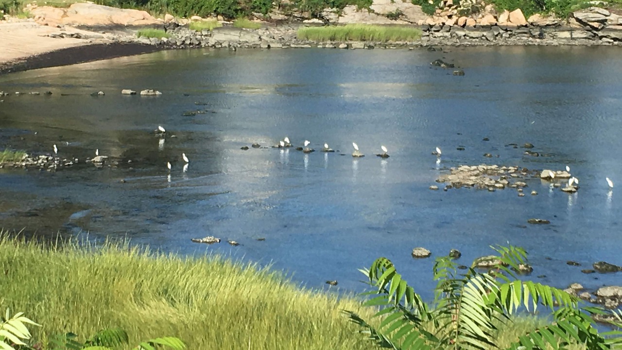 Photo of Outdoor in Guilford