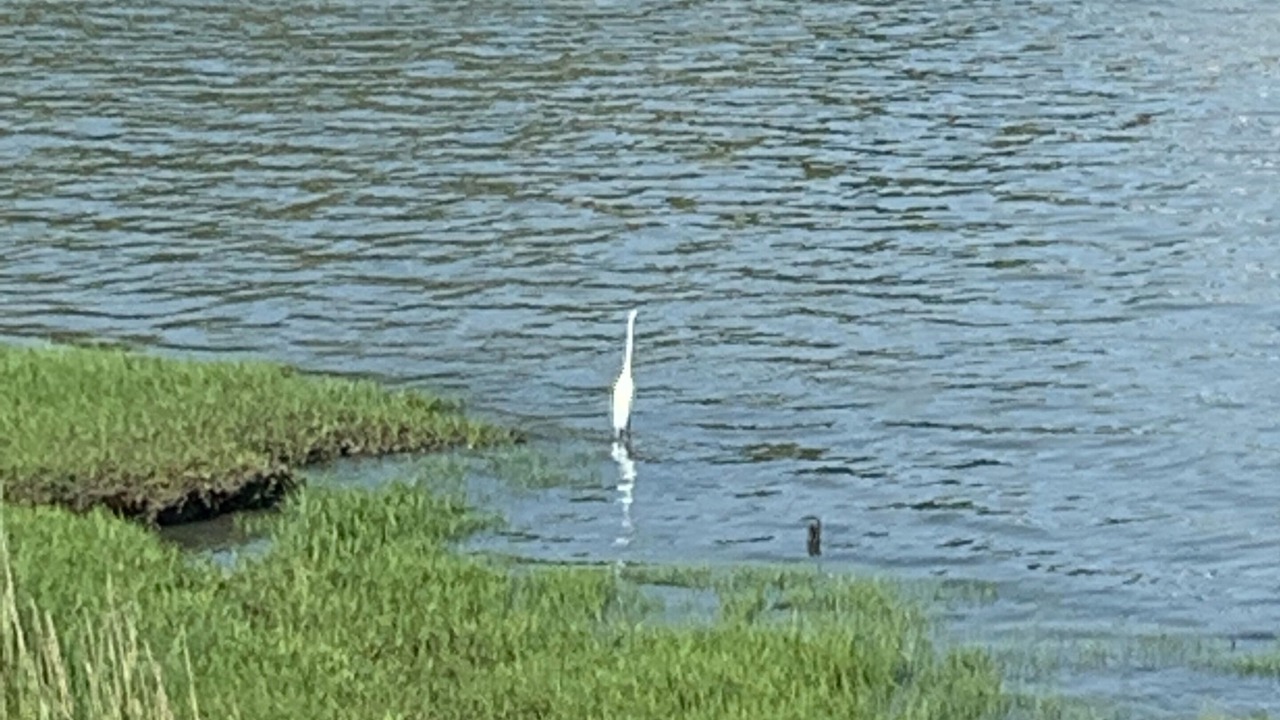 Photo of Others in Guilford