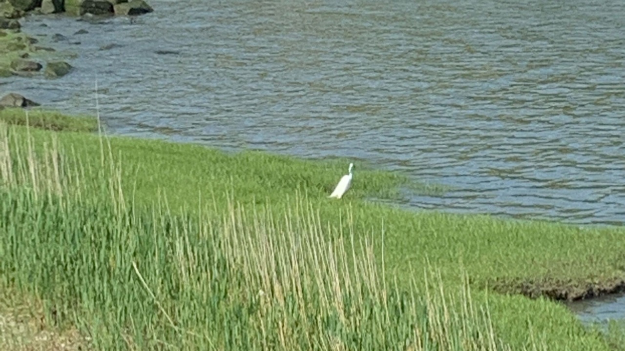 Photo of Others in Guilford