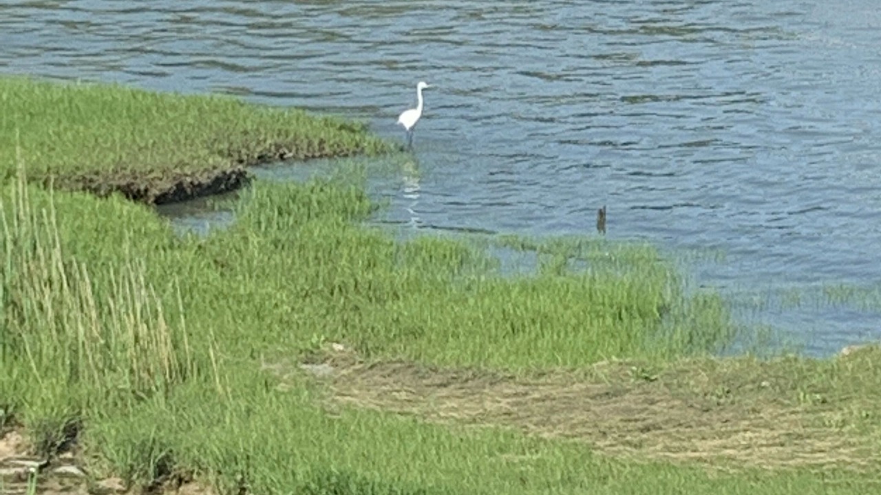 Photo of Outdoor in Guilford