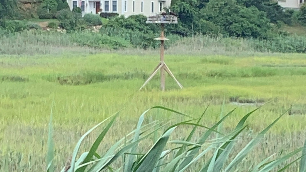 Photo of Outdoor in Guilford