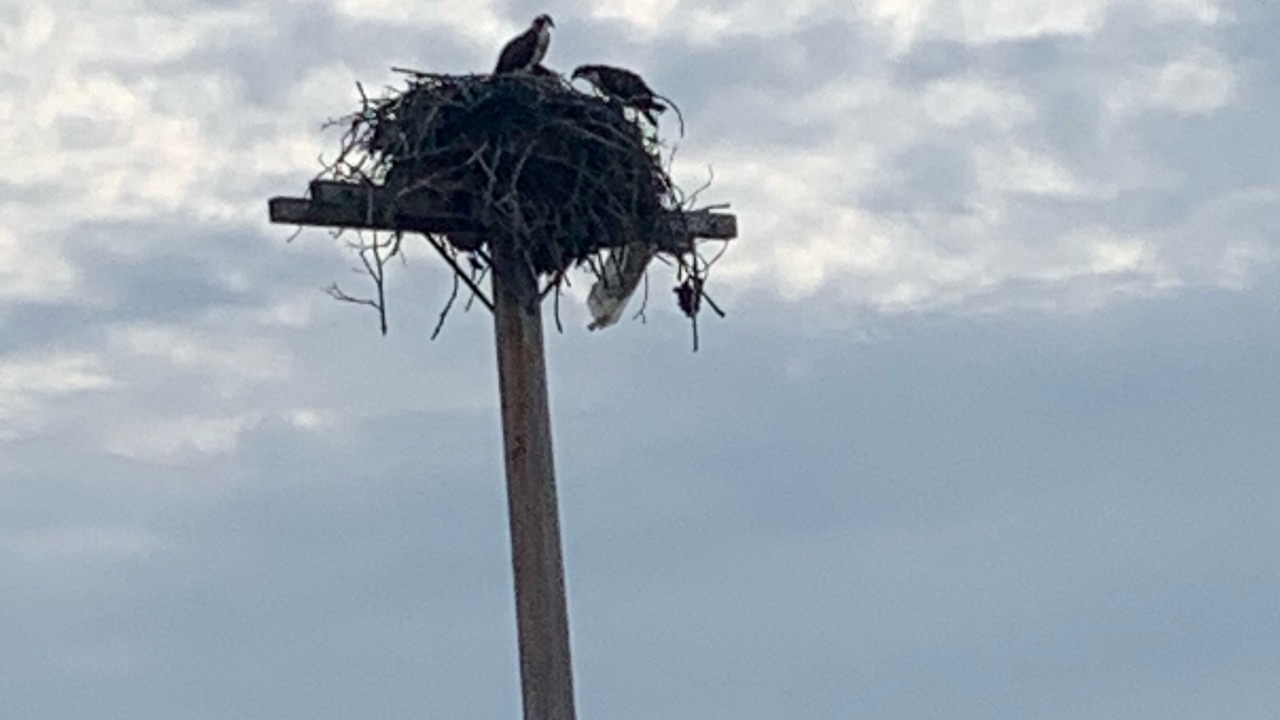 Photo of Others in Guilford