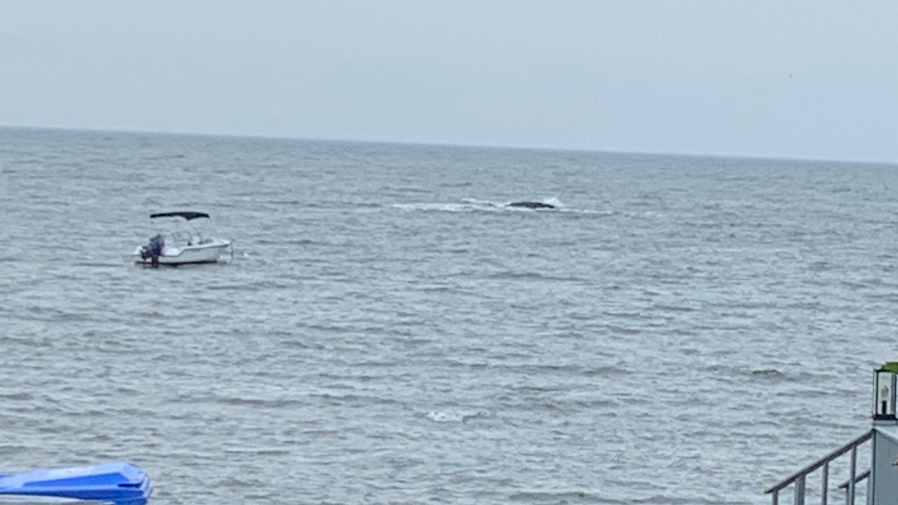 Photo of Others in Guilford