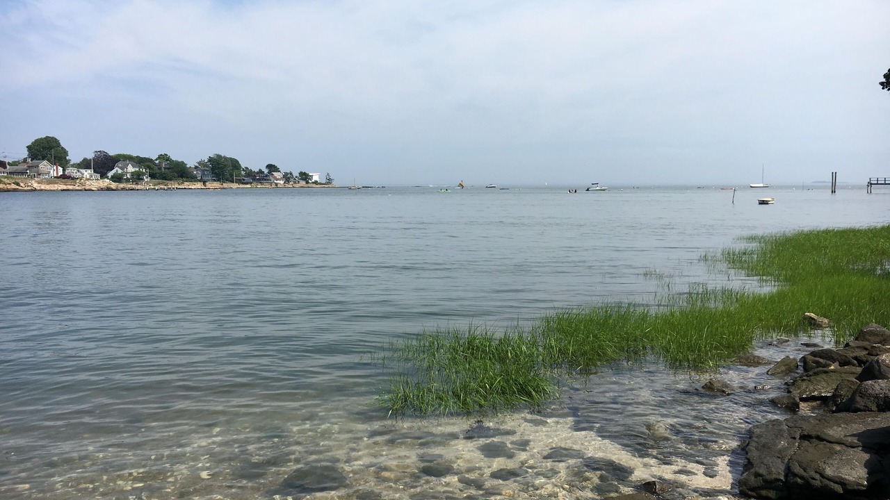 Photo of Others in Guilford