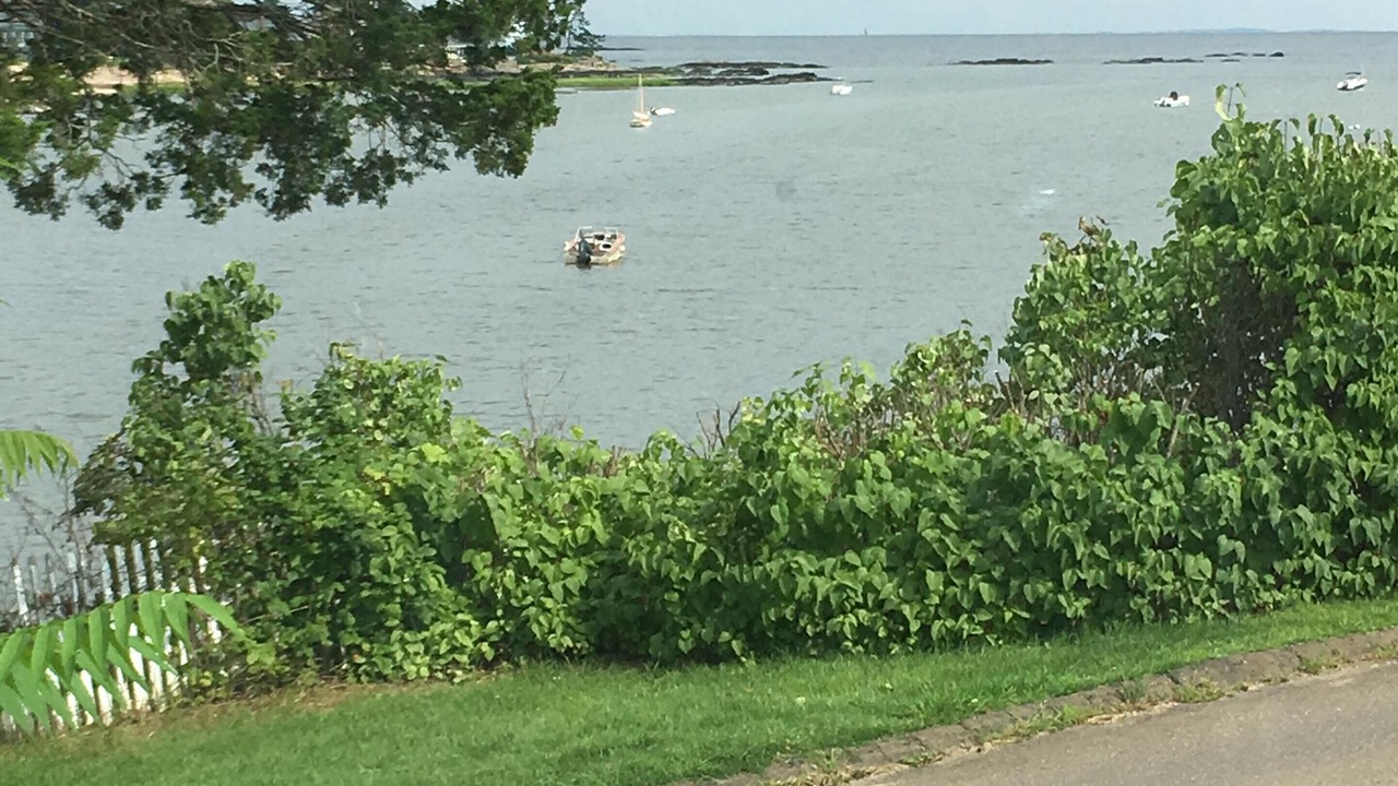 Photo of Others in Guilford