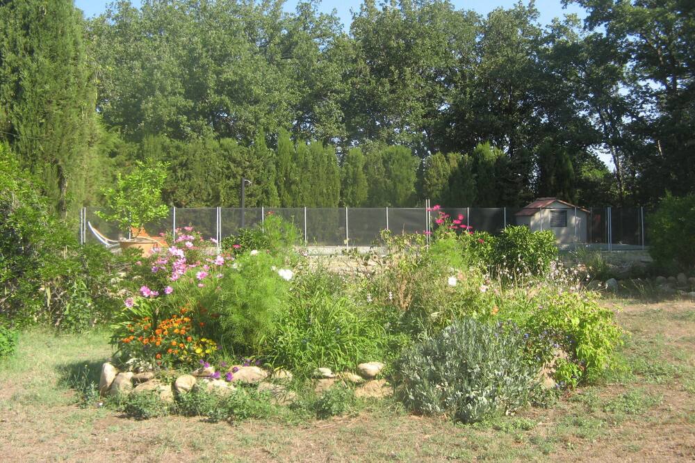Photo of Outdoor in Saint-Andre