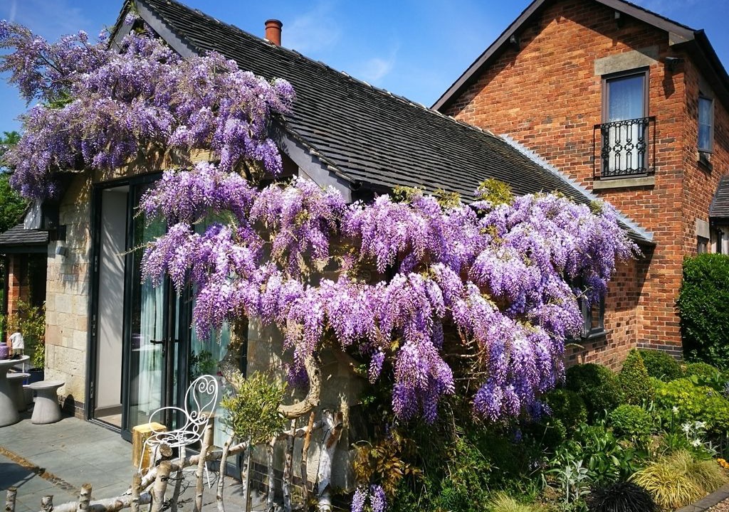 Photo of Outdoor in Stanley Common