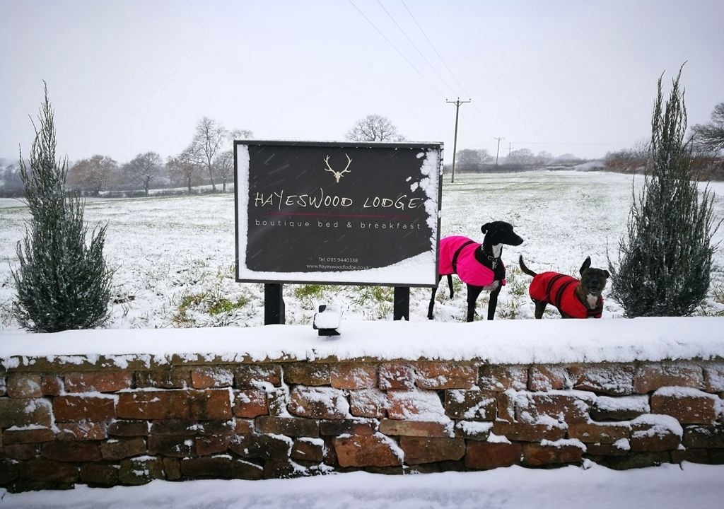 Photo of Outdoor in Stanley Common