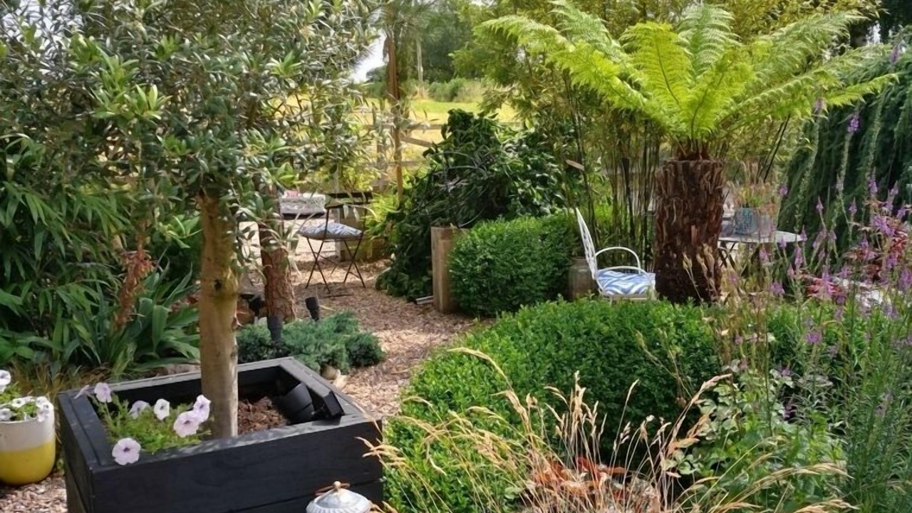 Photo of Outdoor in Stanley Common