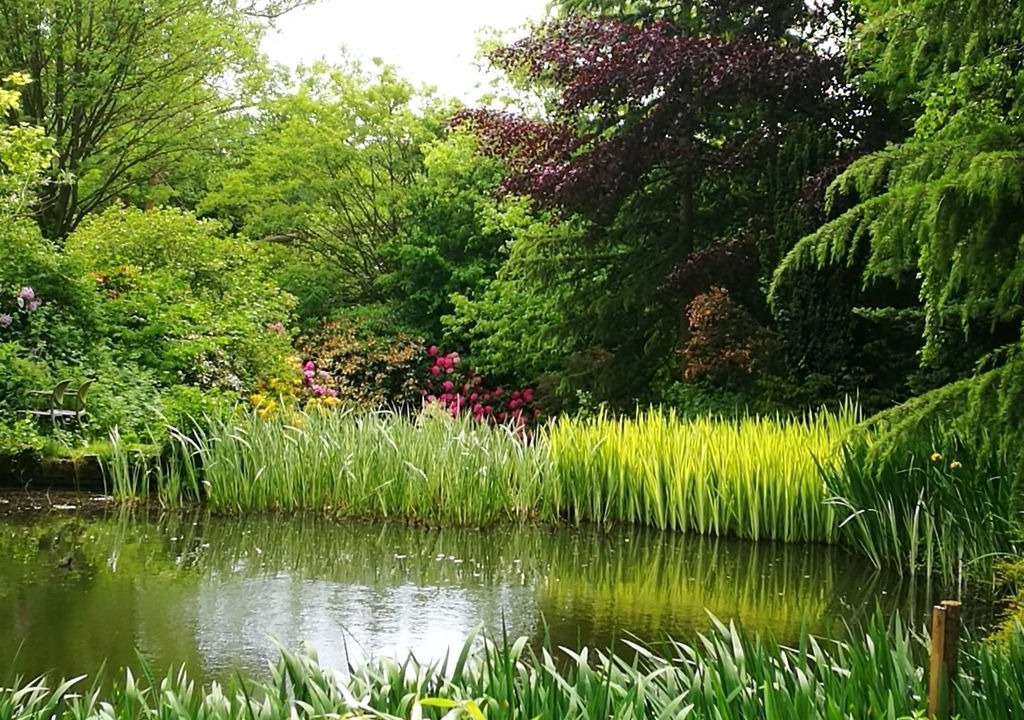 Photo of Outdoor in Stanley Common