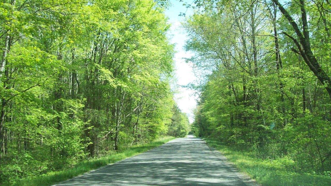 Photo of Outdoor in New Concord