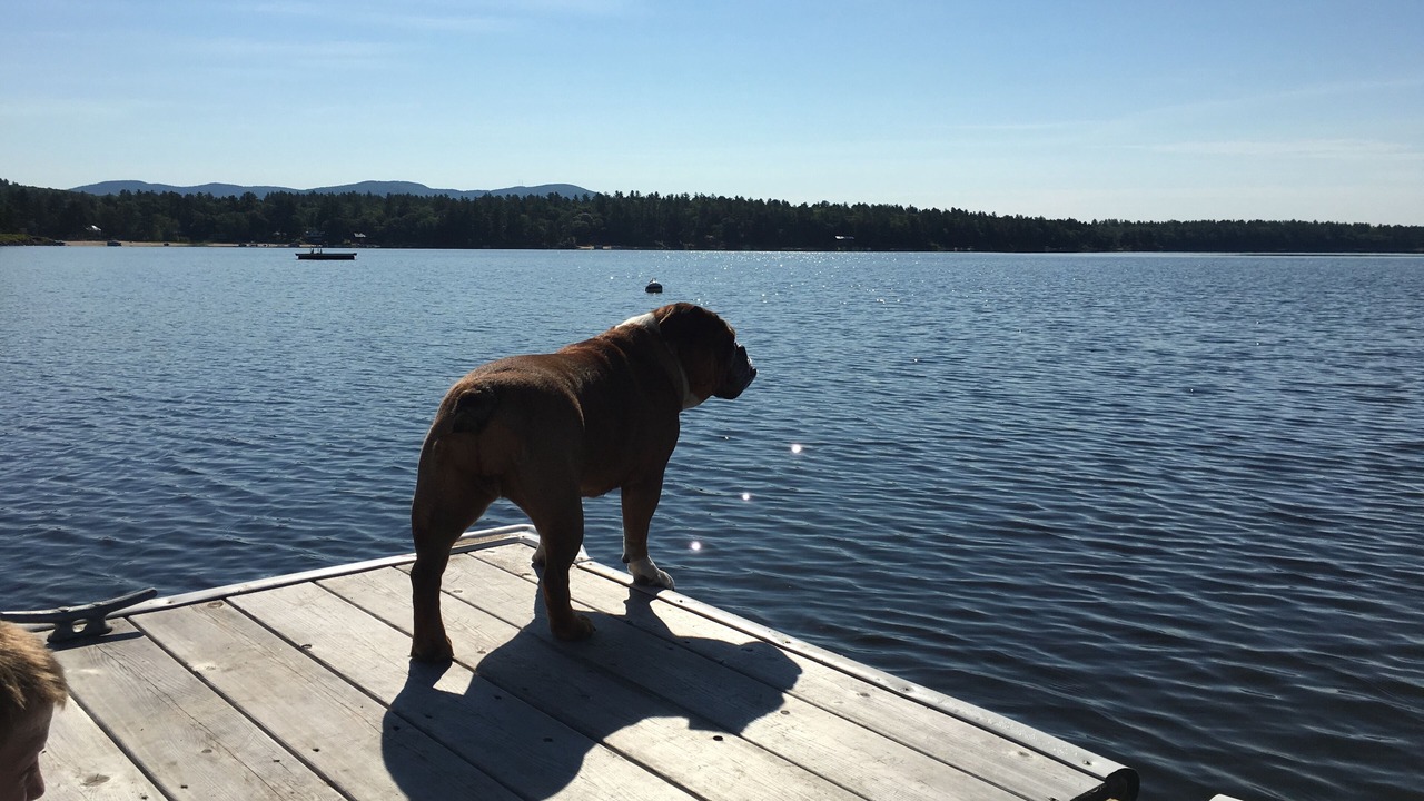 Photo of Others in Fryeburg