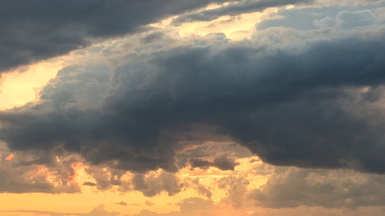 Photo of Others in Miscouche