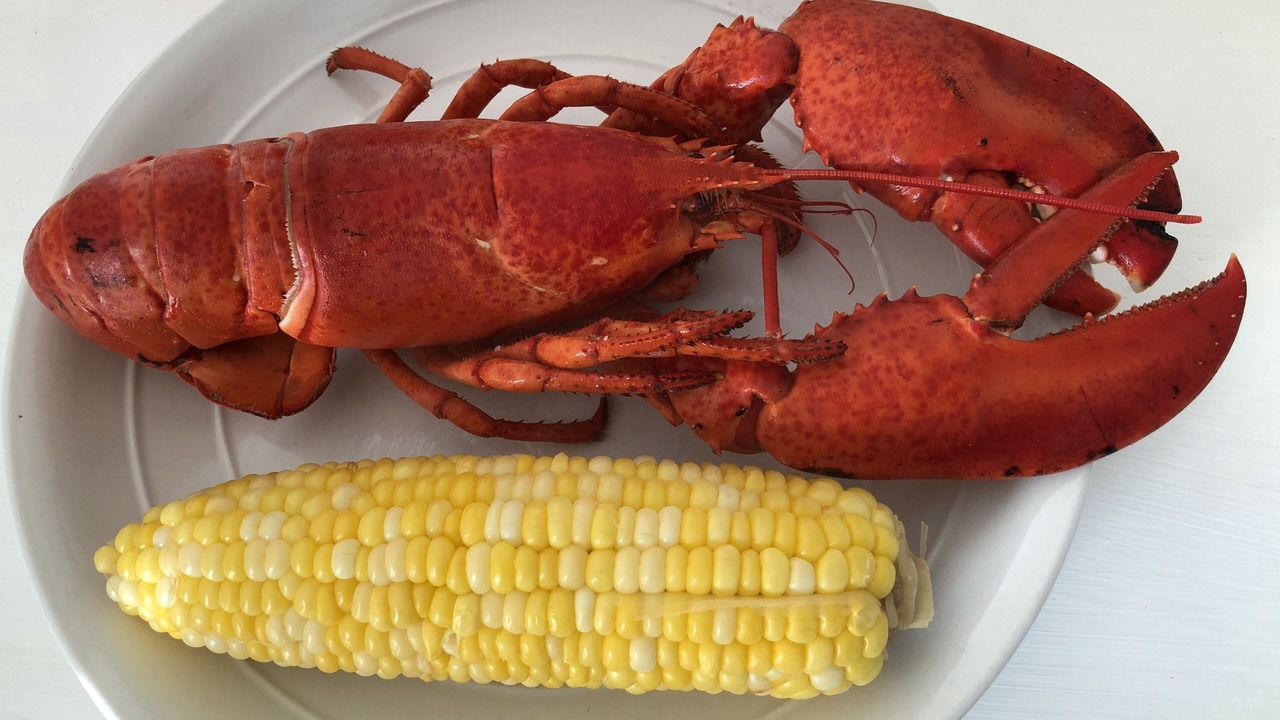 Photo of Others in Miscouche