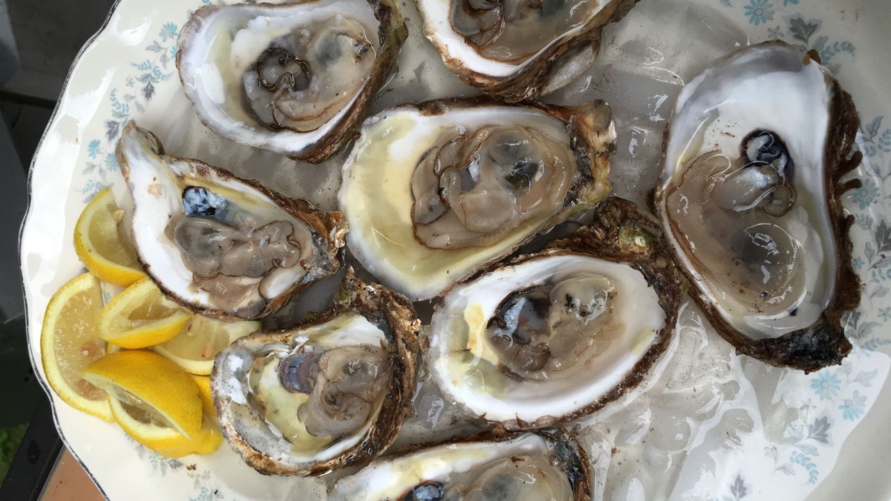 Photo of Others in Miscouche