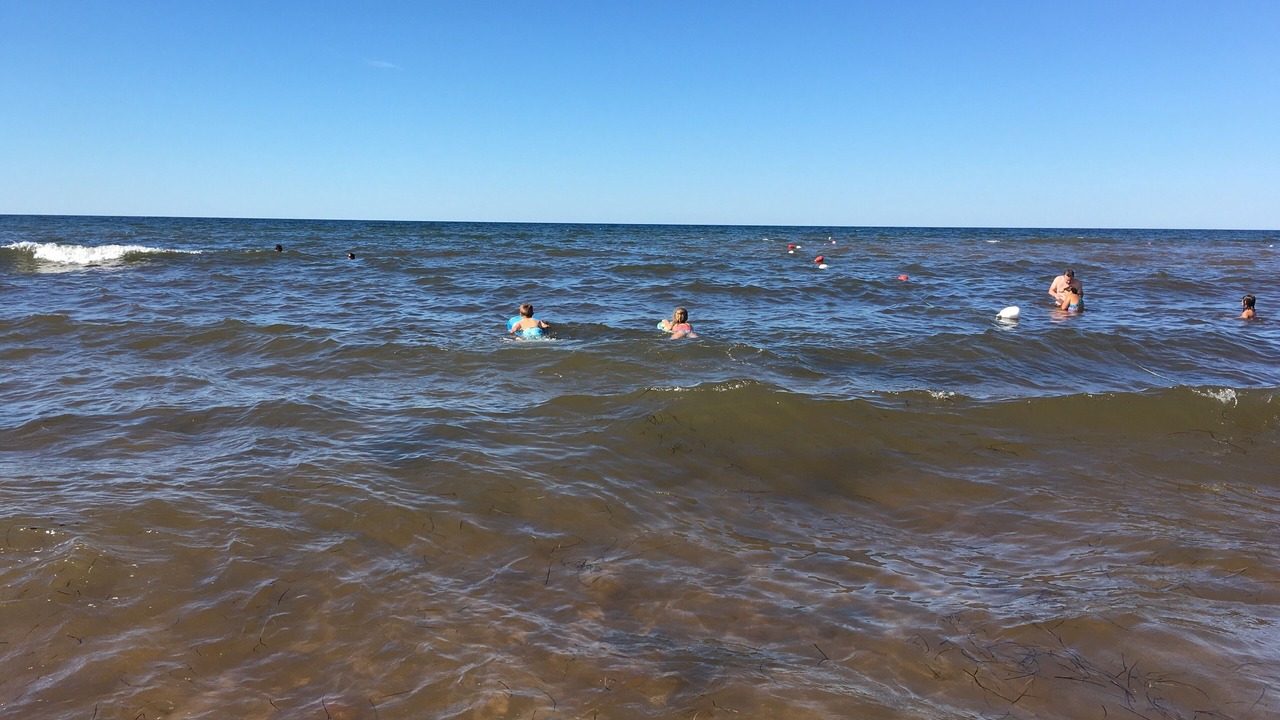 Photo of Others in Miscouche