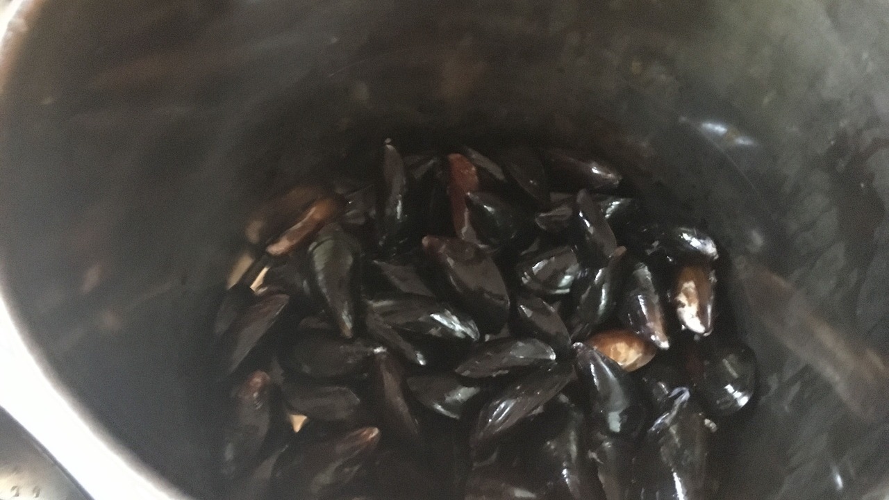 Photo of Others in Miscouche