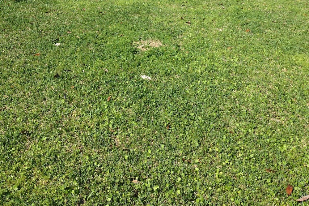 Photo of Others in Warwick