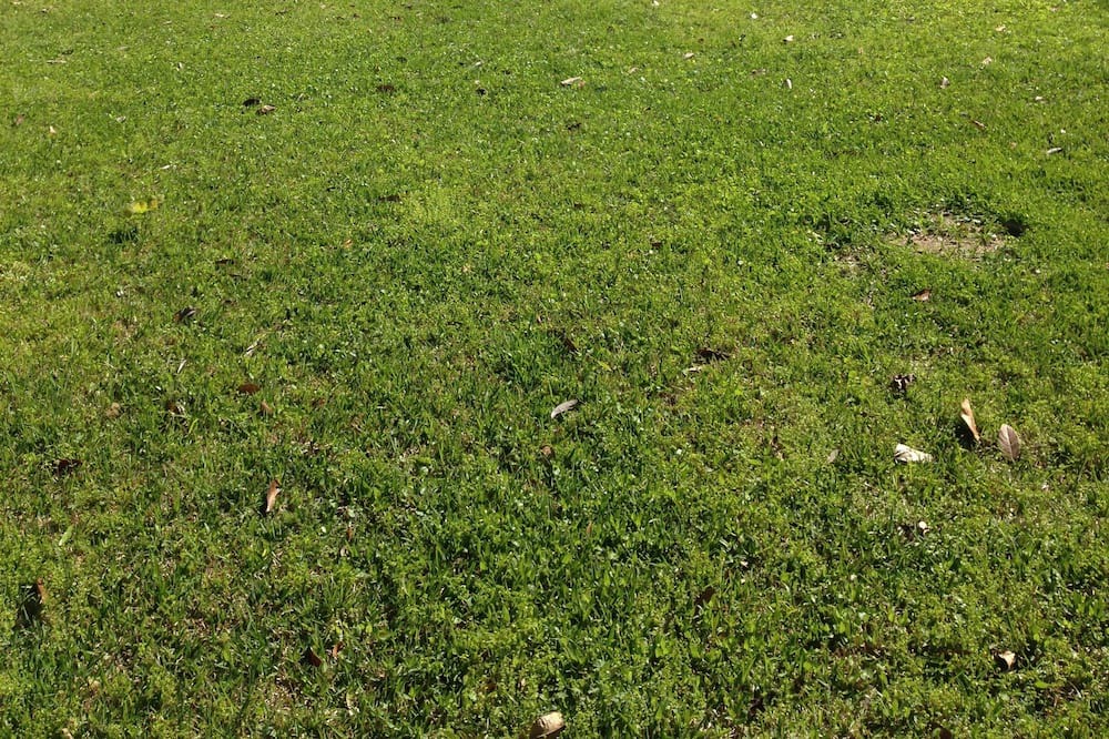 Photo of Outdoor in Warwick