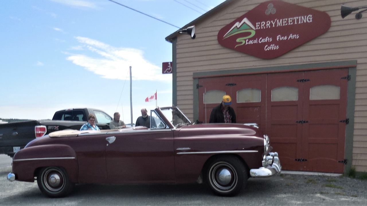 Photo of Others in Downtown St. John's