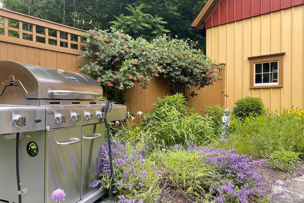 Photo of Outdoor in South Lee