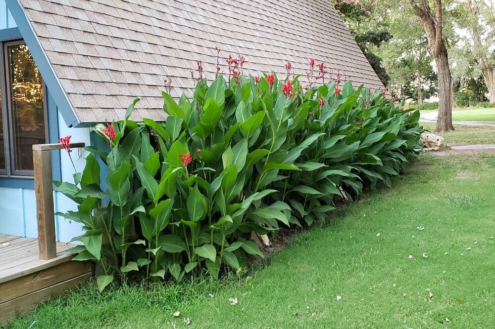 Photo of Outdoor in Anthony