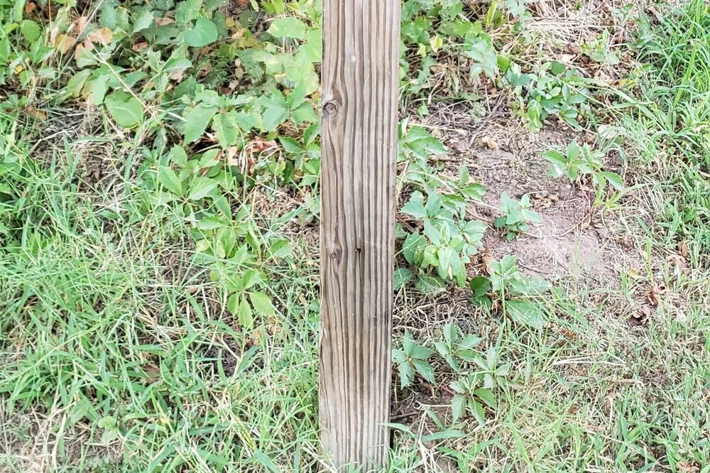 Photo of Outdoor in Anthony