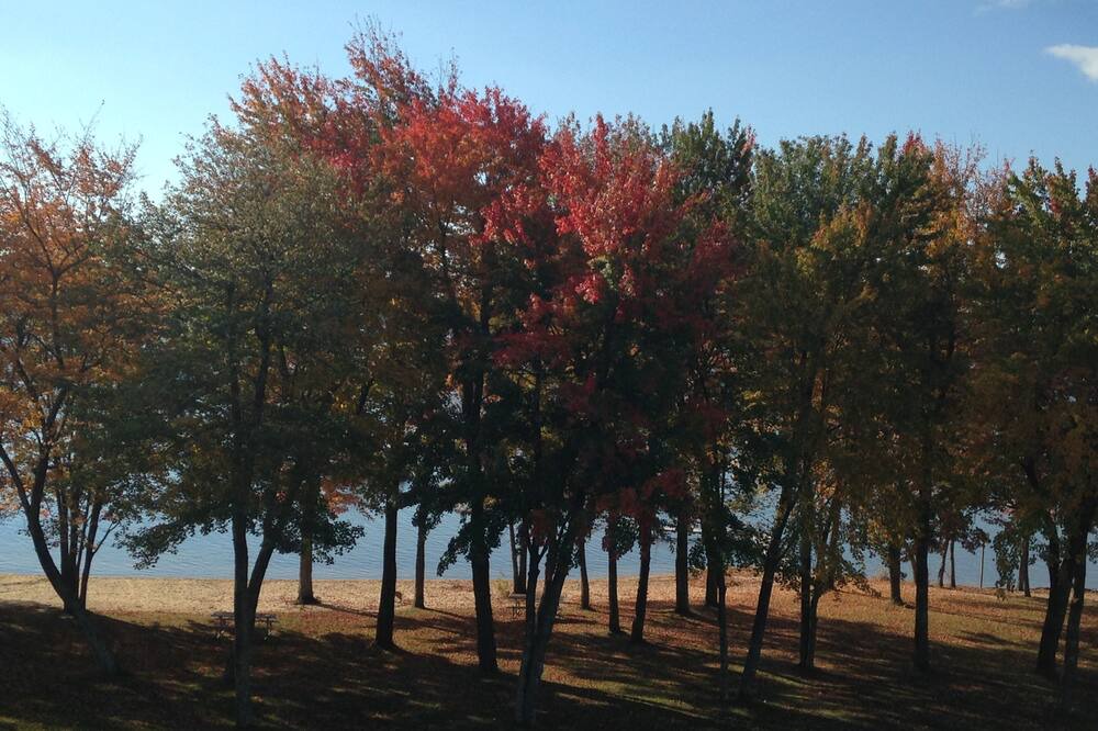 Photo of Others in Freedom