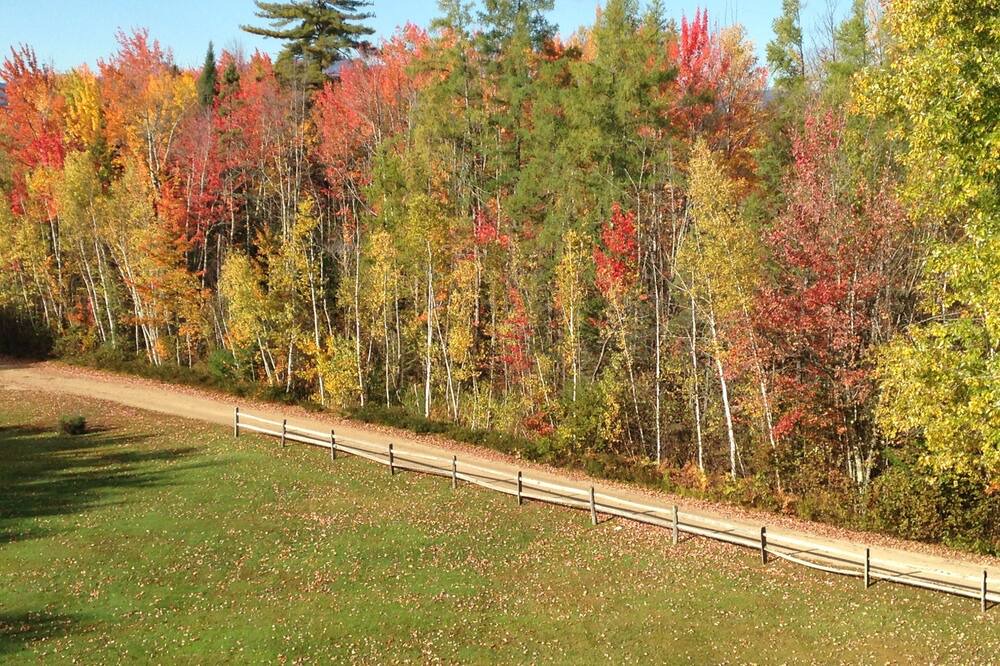 Photo of Others in Freedom