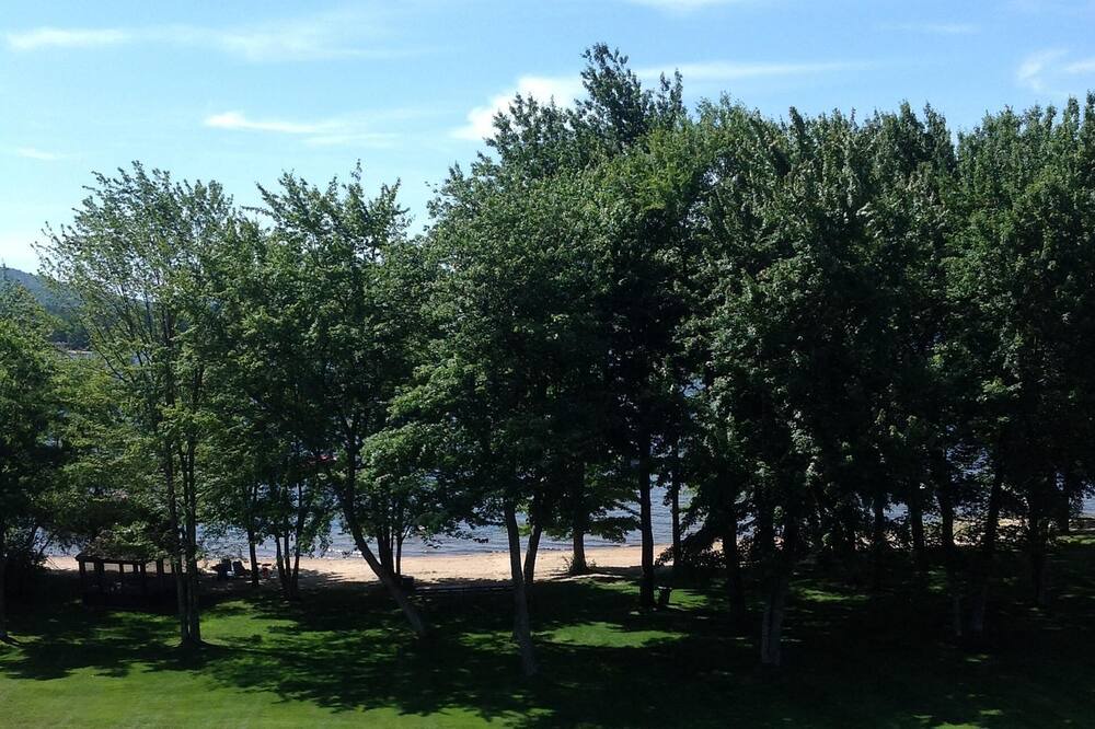 Photo of Others in Freedom